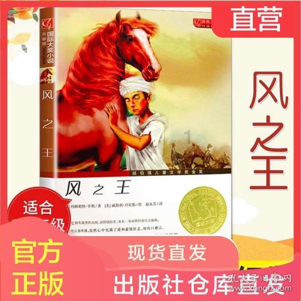 这是什么东西？