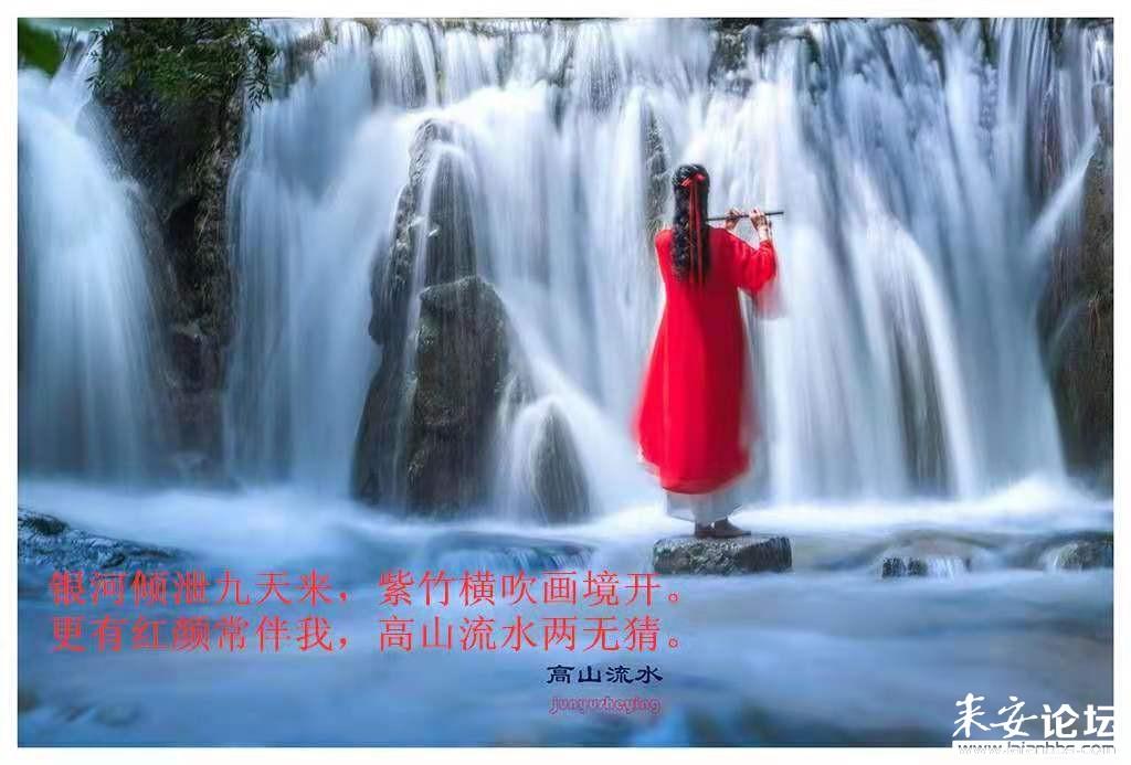 五年级一班一共有45名学生反对带手机进学校的学生占百分之多少?-高效实用的知识问答网页